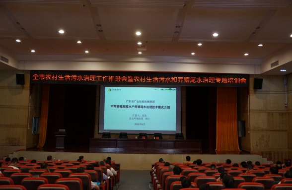 海洋牧场，生态先行，省环保基金会助力阳江建设海洋牧场